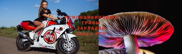 а пвп мука Абдулино
