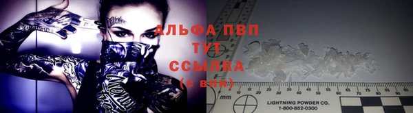 PSILOCYBIN Абаза