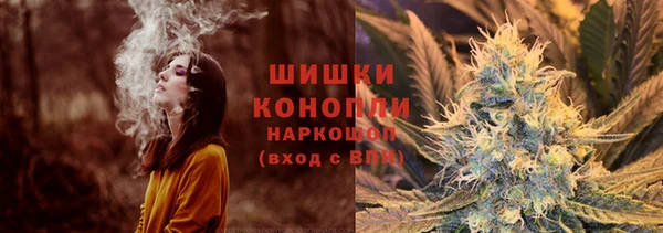 PSILOCYBIN Абаза