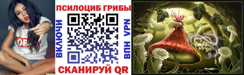 Псилоцибиновые грибы Cubensis  Норильск 